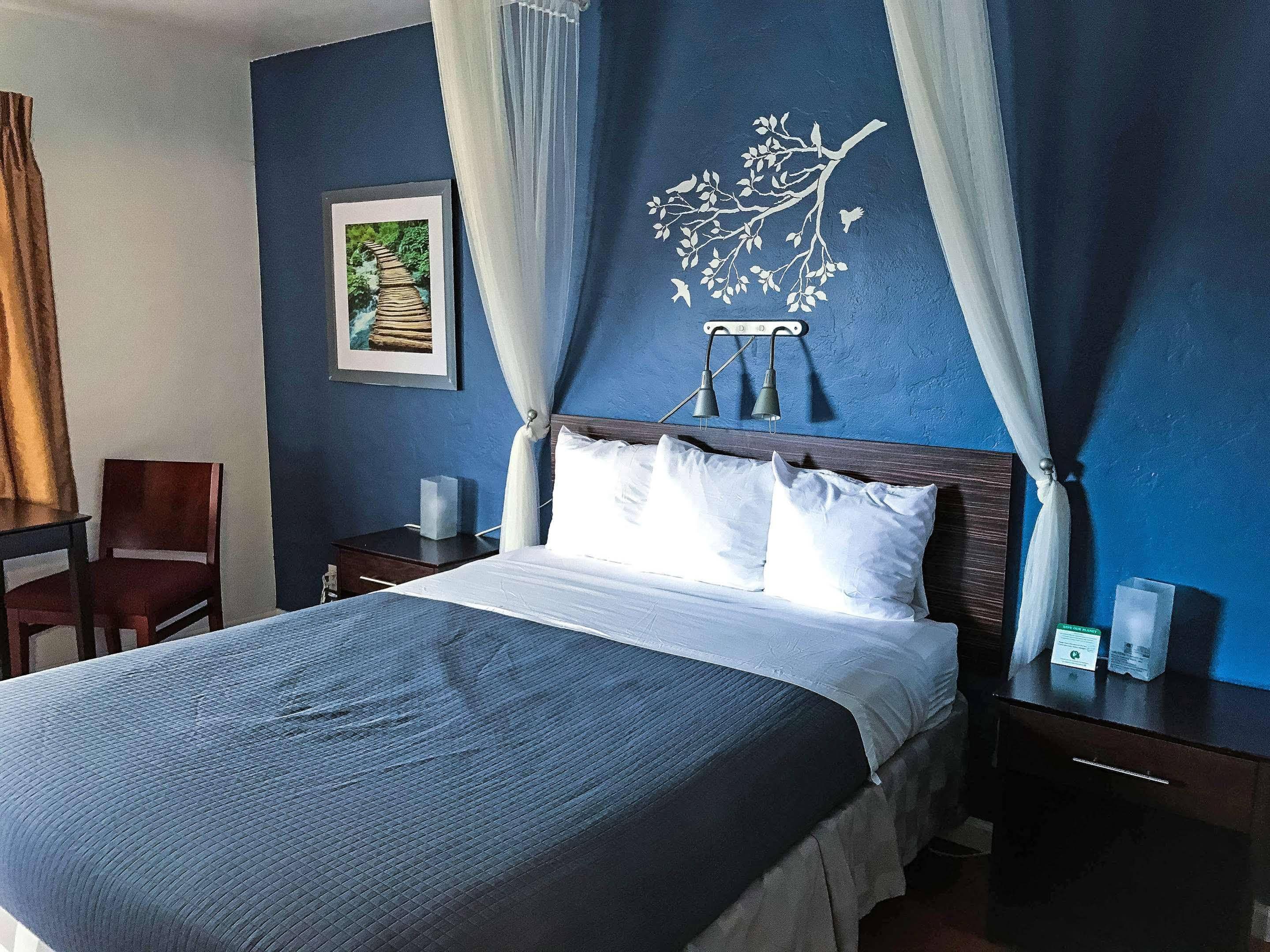 ברקלי Golden Bear Hotel - Surestay Collection By Best Western מראה חיצוני תמונה
