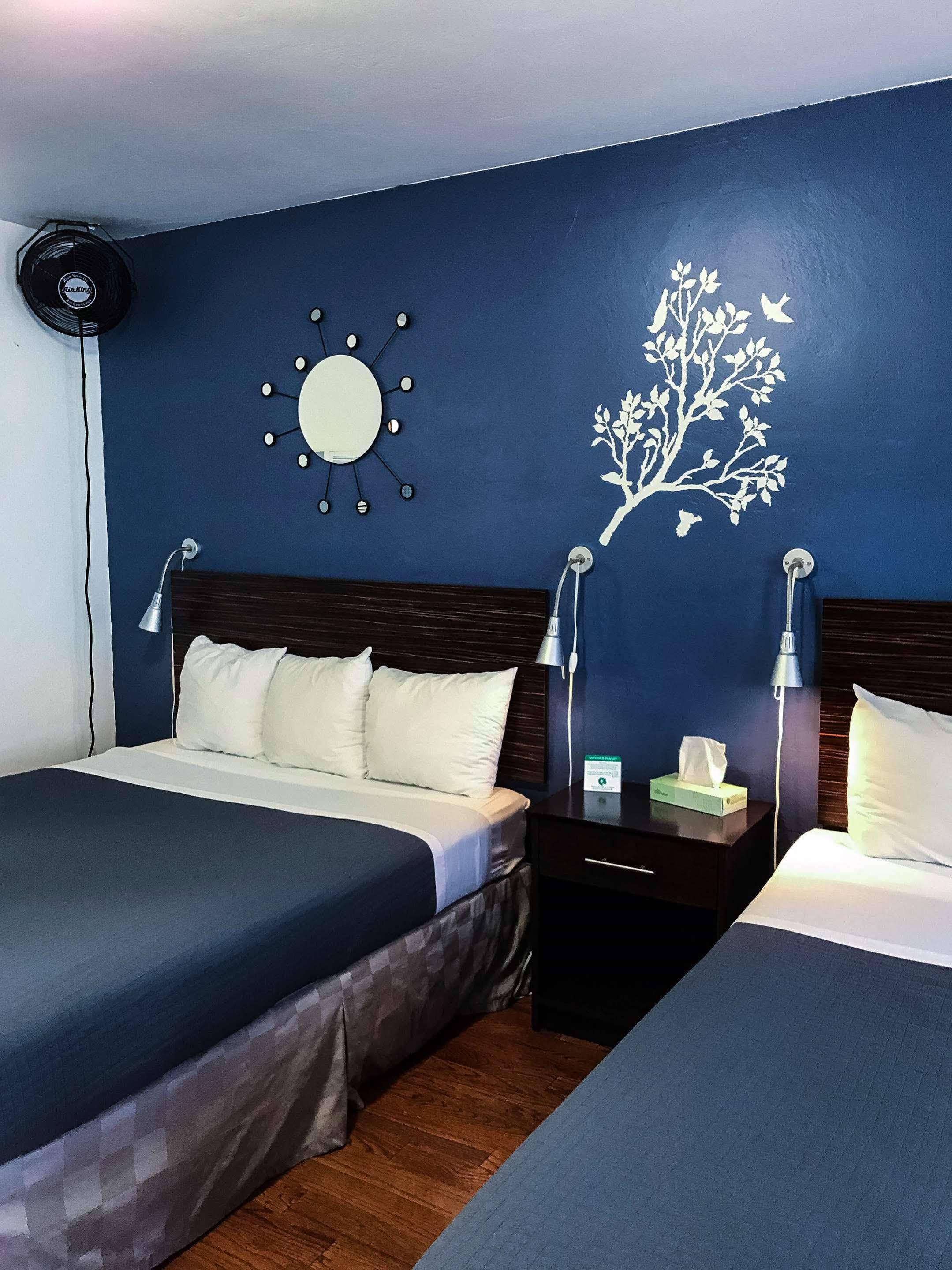 ברקלי Golden Bear Hotel - Surestay Collection By Best Western מראה חיצוני תמונה